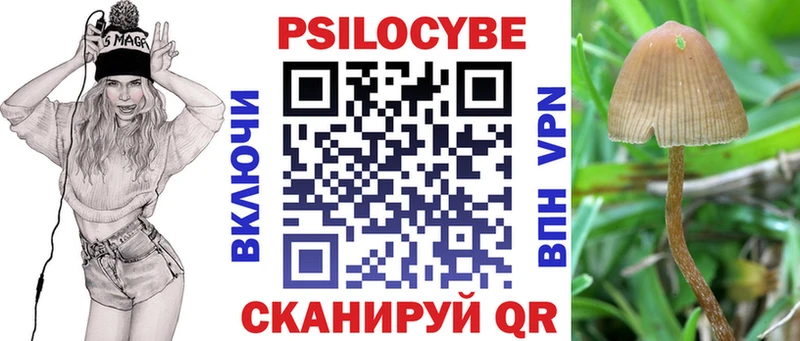 как найти наркотики  Заречный  Галлюциногенные грибы Magic Shrooms 